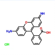 CAS: 13558-31-1|ローダミン 110