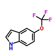CAS:262593-63-5|5-(トリフルオロメトキシ)-1H-インドール