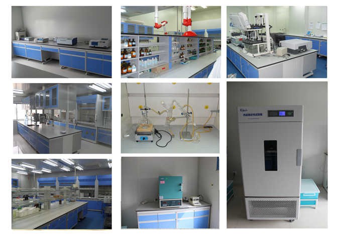 4-amino-N-(2,6-dimethylphenyl)benzamide CAS 868540-17-4